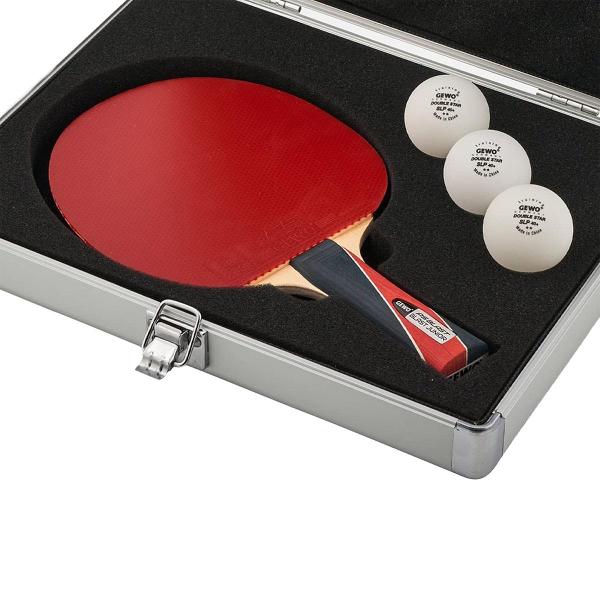 Gewo Batbox Alu-Safe