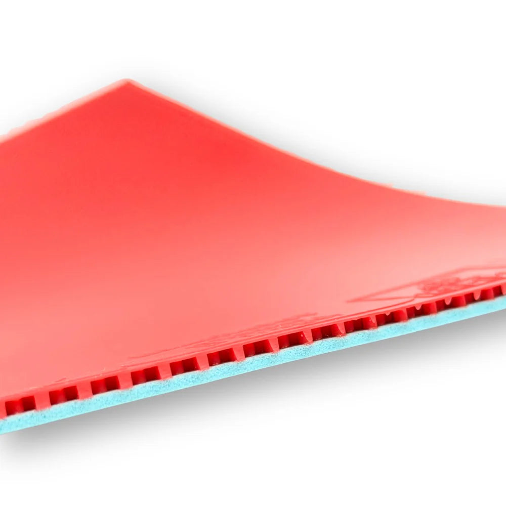 Sauer & Troger Blackout