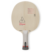 Joola BASEline Offensive